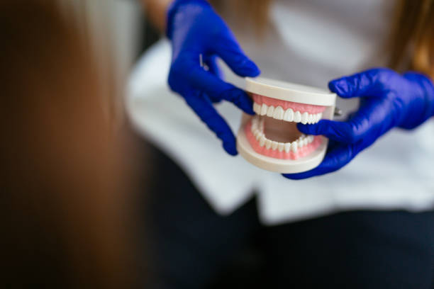 Best Traditional Braces  in Ojus, FL